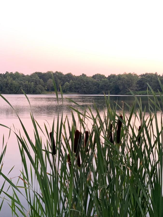 Ferienhaus Seeblick Am Harkebruegger See Mit Sauna Und Kamin Barssel  Zewnętrze zdjęcie